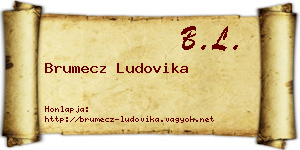 Brumecz Ludovika névjegykártya